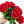Scarlett Red Real Touch Rose Stem 17" Tall Latex Luxury Artificial Flower Wedding/Home Decoration | Gifts Decor | Floral Color Faux R-023