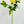 Yellow Moutan Silk Peony Stem Realistic High-Quality Artificial Kitchen/Wedding/Home Decoration Gift French Floral Flower Bouquet P-011