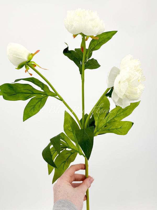 White Moutan Silk Peony Stem Realistic High-Quality Artificial Kitchen/Wedding/Home Decoration Gift French Floral Flower Craf Bouquet P-015