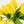 6 Stems Yellow Real Touch Tulips 10" Artificial Flower Realistic High-Quality Artificial Kitchen/Wedding/Home Gifts Decor Floral Craft T-007