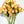 6 Stems Orange Real Touch Tulips 10" Artificial Flower Realistic High-Quality Artificial Kitchen/Wedding/Home Gifts Decor Floral Craft T-008