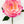 Large Head Pink Peony Silk Stem Realistic High-Quality Artificial Kitchen/Wedding/Home Decor | Gifts French Floral Flowers Cozy Spring P-052