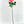 Peach/Pink Rose Real Touch 25" Tall Latex Luxury Quality Artificial Flower Wedding/Home Decoration Gift Floral  Color Faux Floral R-049