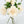 Cream Chinese Peony Silk Floral Artificial Flower | Wedding/Home Decoration Gifts | Décor | Floral, Spring Flowers, Wedding Flowers P-002