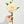 Cream Chinese Peony Silk Floral Artificial Flower | Wedding/Home Decoration Gifts | Décor | Floral, Spring Flowers, Wedding Flowers P-002