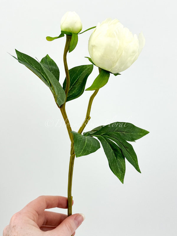 White Peony 2-Head Silk Stem Realistic Artificial Flower Kitchen/Wedding/Home Decoration | Gifts Birthday Crafting Floral Flowers Cozy P-007