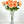 Peach Silk Rose Stem | 30 inch Tall Silk High-Quality Artificial Flower Bouquet | Wedding/Home Decoration | Gifts Floral Faux R-051