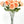 Peach Silk Rose Stem | 30 inch Tall Silk High-Quality Artificial Flower Bouquet | Wedding/Home Decoration | Gifts Floral Faux R-051