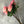 Peach/Pink Rose Real Touch 25" Tall Latex Luxury Quality Artificial Flower Wedding/Home Decoration Gift Floral  Color Faux Floral R-049