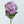 Purple Silk Rose Stem | 26 inch Tall Silk High-Quality Artificial Flower Bouquet | Wedding/Home Decoration | Gifts Floral Faux R-050