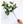 Green Leaves Stem, Artificial Flower Realistic Quality Faux Floral Craft Kitchen Wedding Home Decoration Gifts Decor Floral G-00