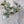 Green Leaves Stem, Artificial Flower Realistic Quality Faux Floral Craft Kitchen Wedding Home Decoration Gifts Decor Floral G-00